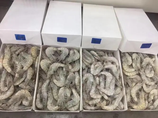 进口海鲜清关要求都有哪些？