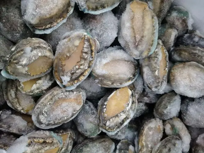 深圳进口冷冻海鲜代理清关公司