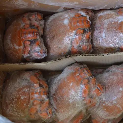 冷冻海鲜进口正规手续清关如何操作？