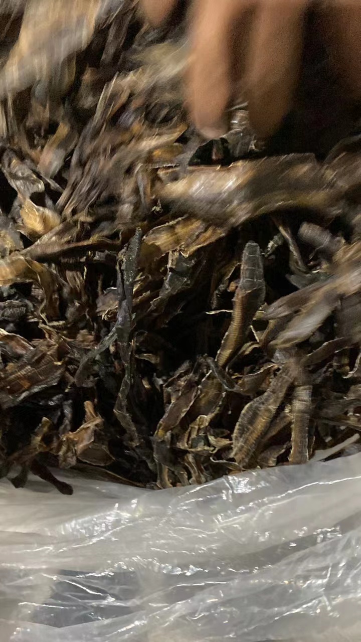 地龙海运进口代理正规清关手续